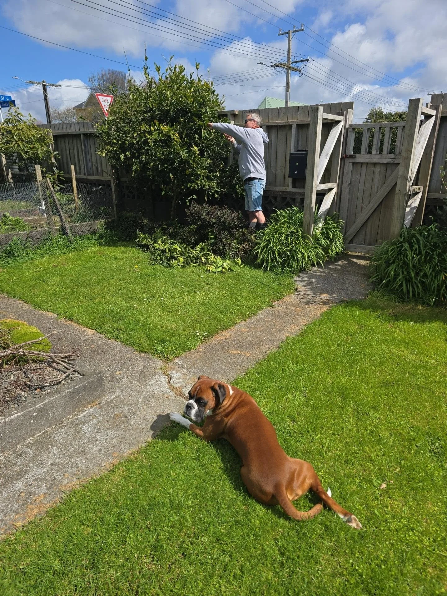 🌼 Spring Cleaning: Outdoors 

It's almost the end of September.... how's your spring cleaning going? 👀

Well, ours has hit a bit of a wall this week... today it's absolutely pouring down, so all the outdoor jobs are on hold! 🌧️ Here's what we mana