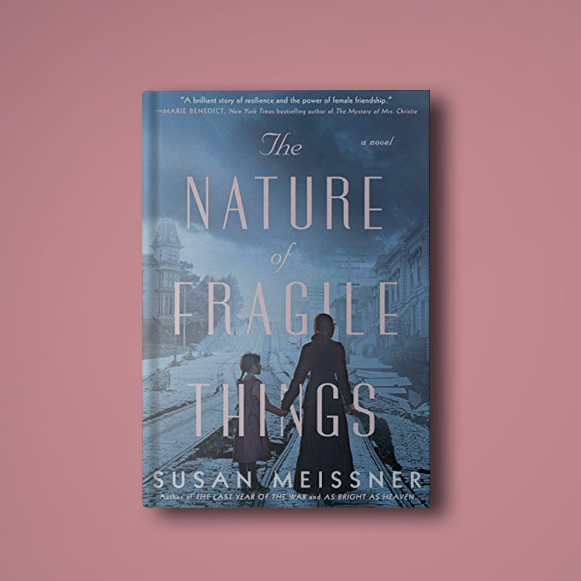 The Nature Of Fragile Things by Susan Meissner