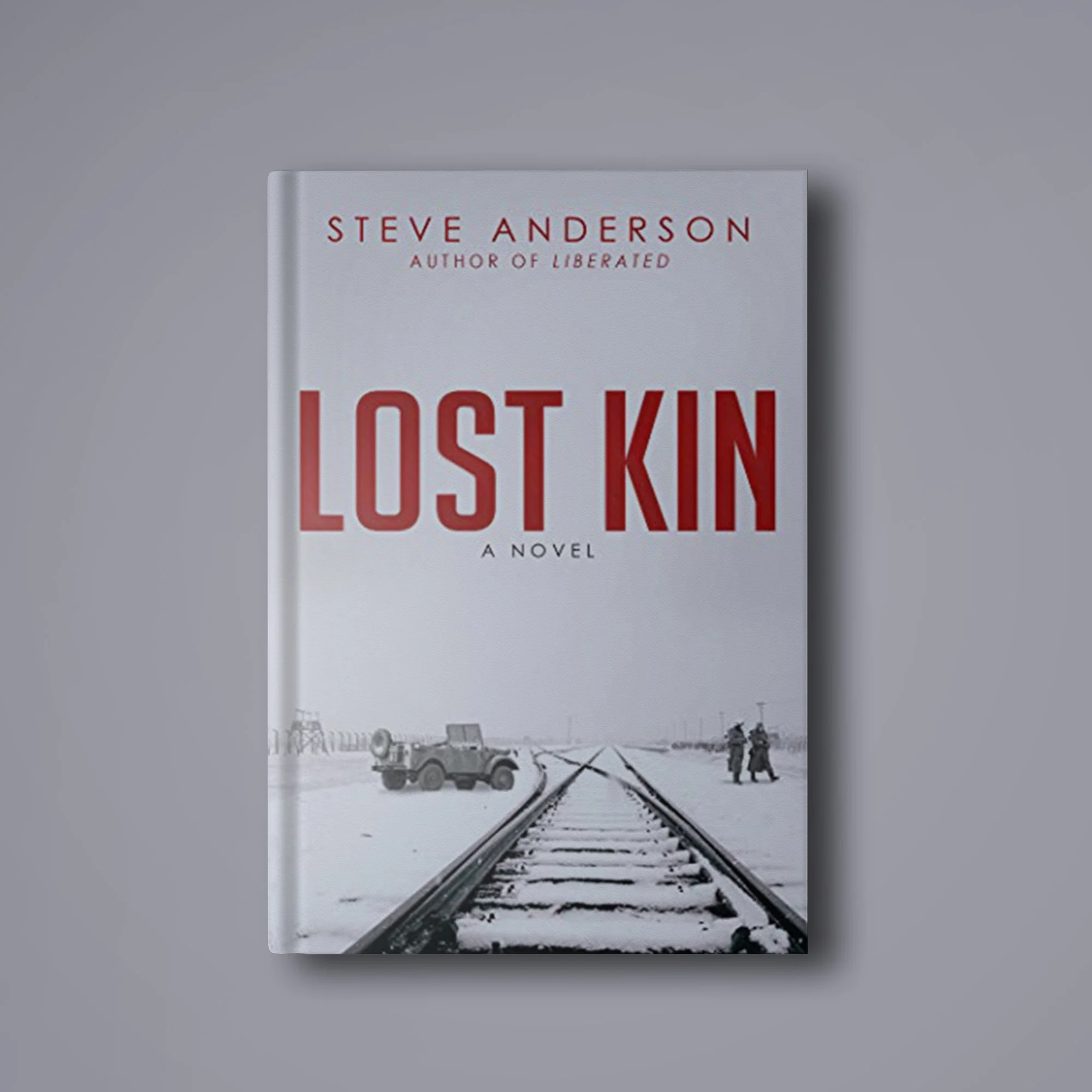LOST KIN by Steve Anderson