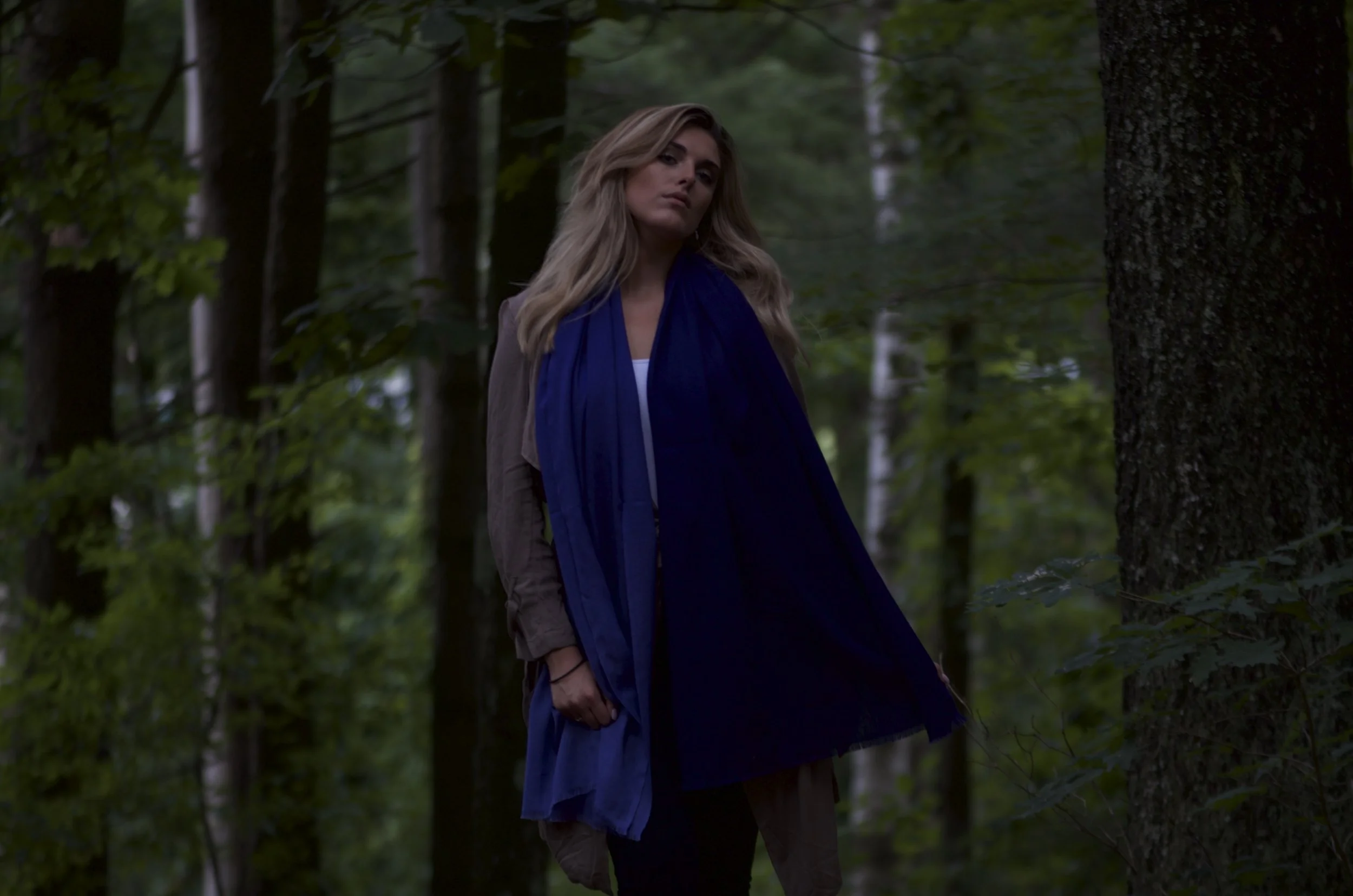 Blues Pure Cashmere Elegant Ombre Fringed Shawl - Portrait