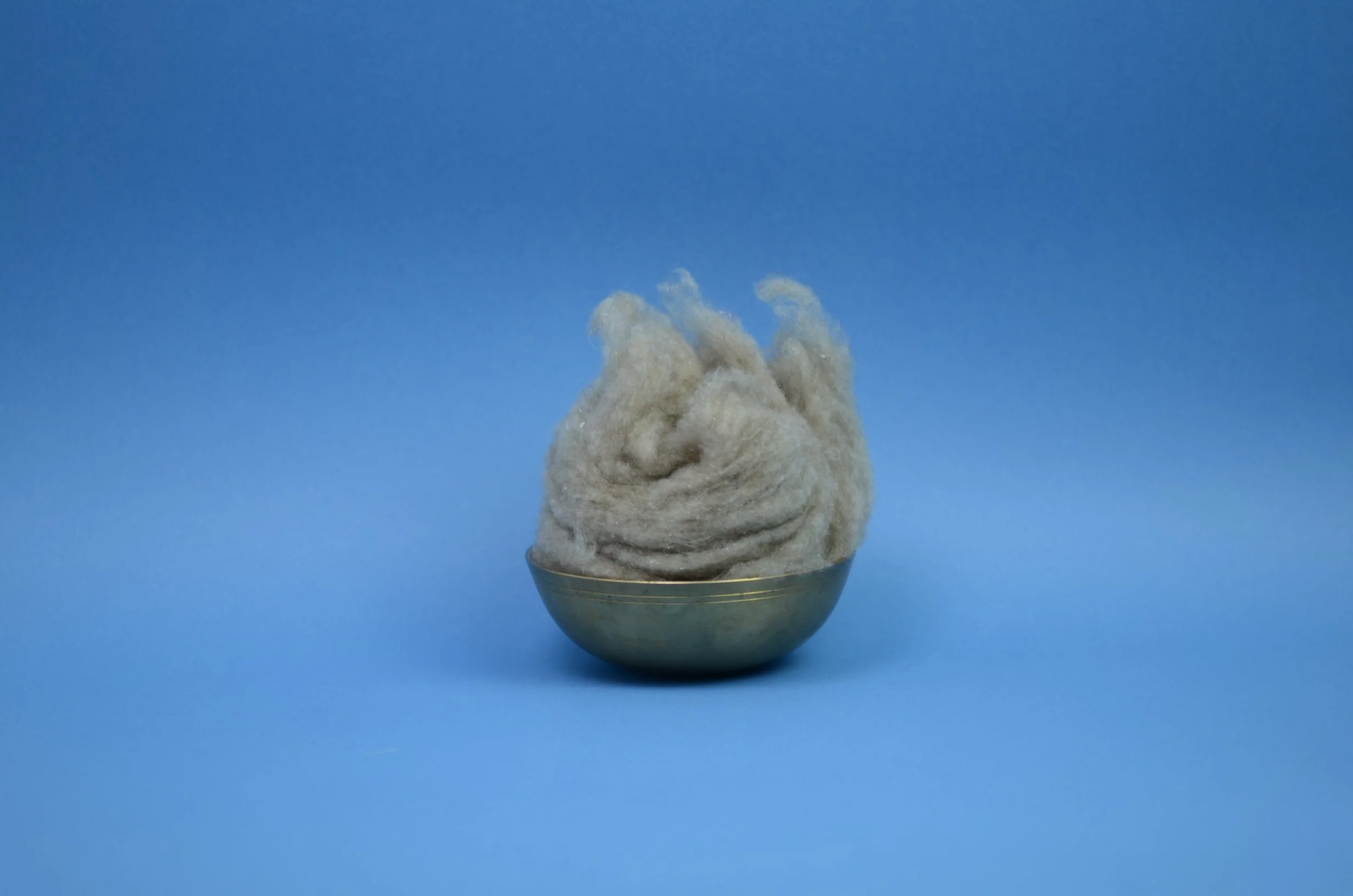 Changra Pashmina ( Raw) Cashmere Fiber