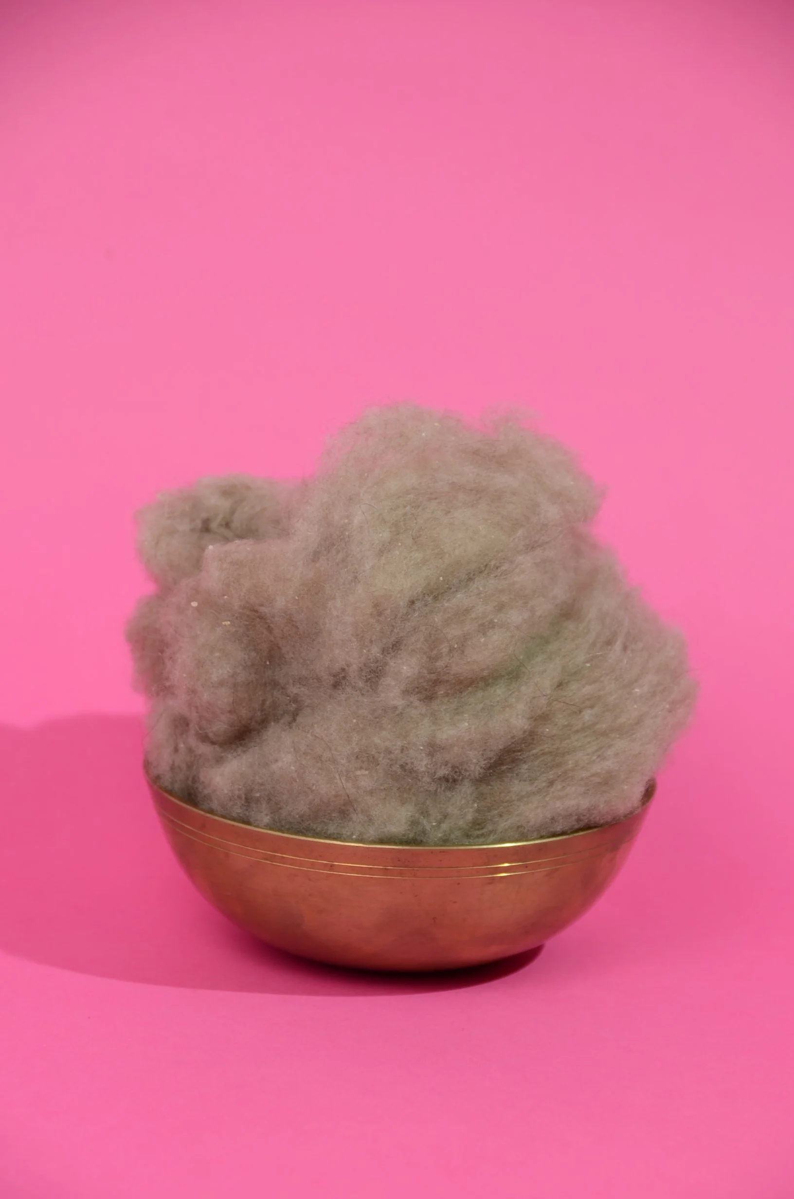 Changra Pashmina ( Raw) Cashmere Fiber