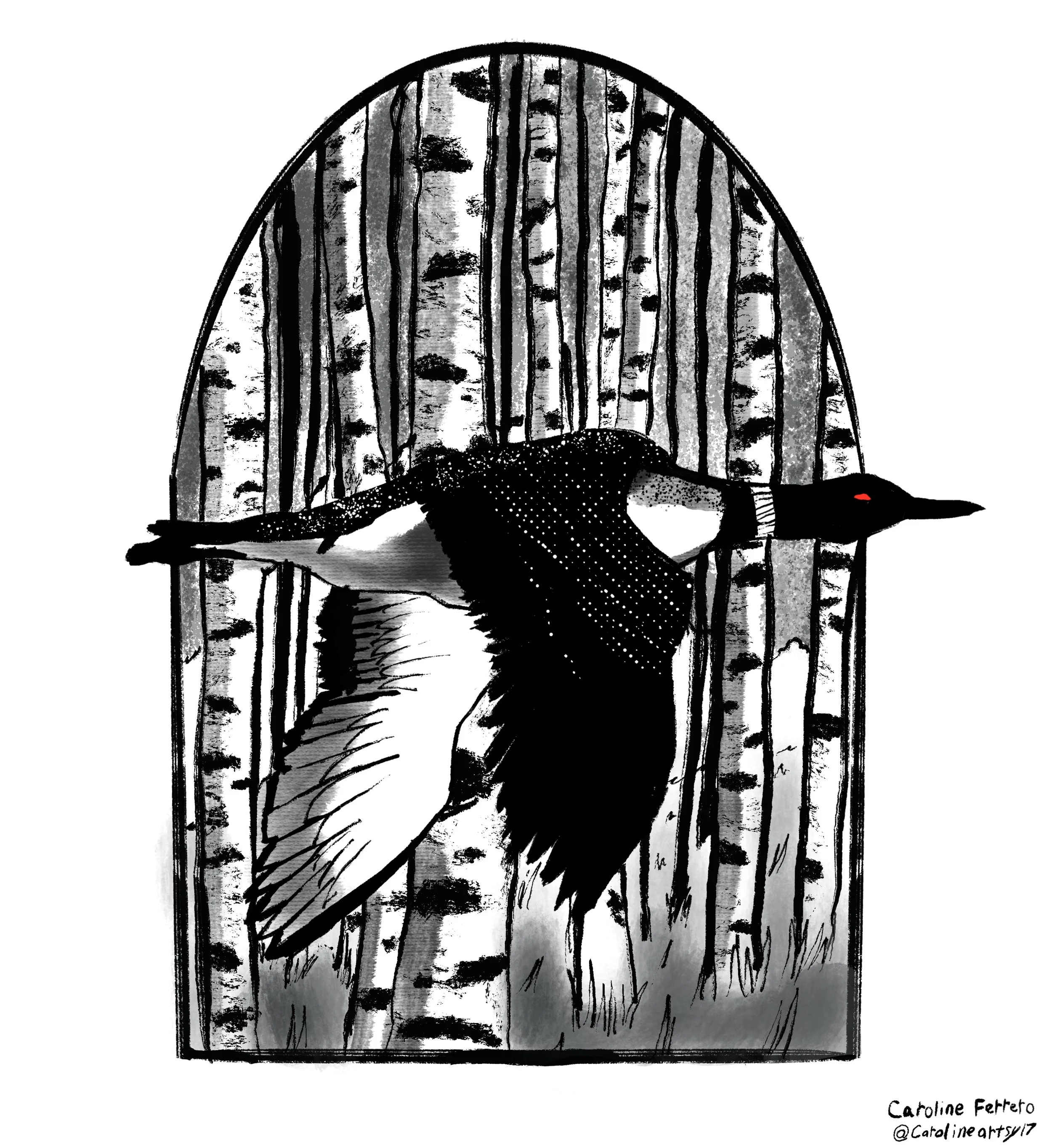 Loon.jpg