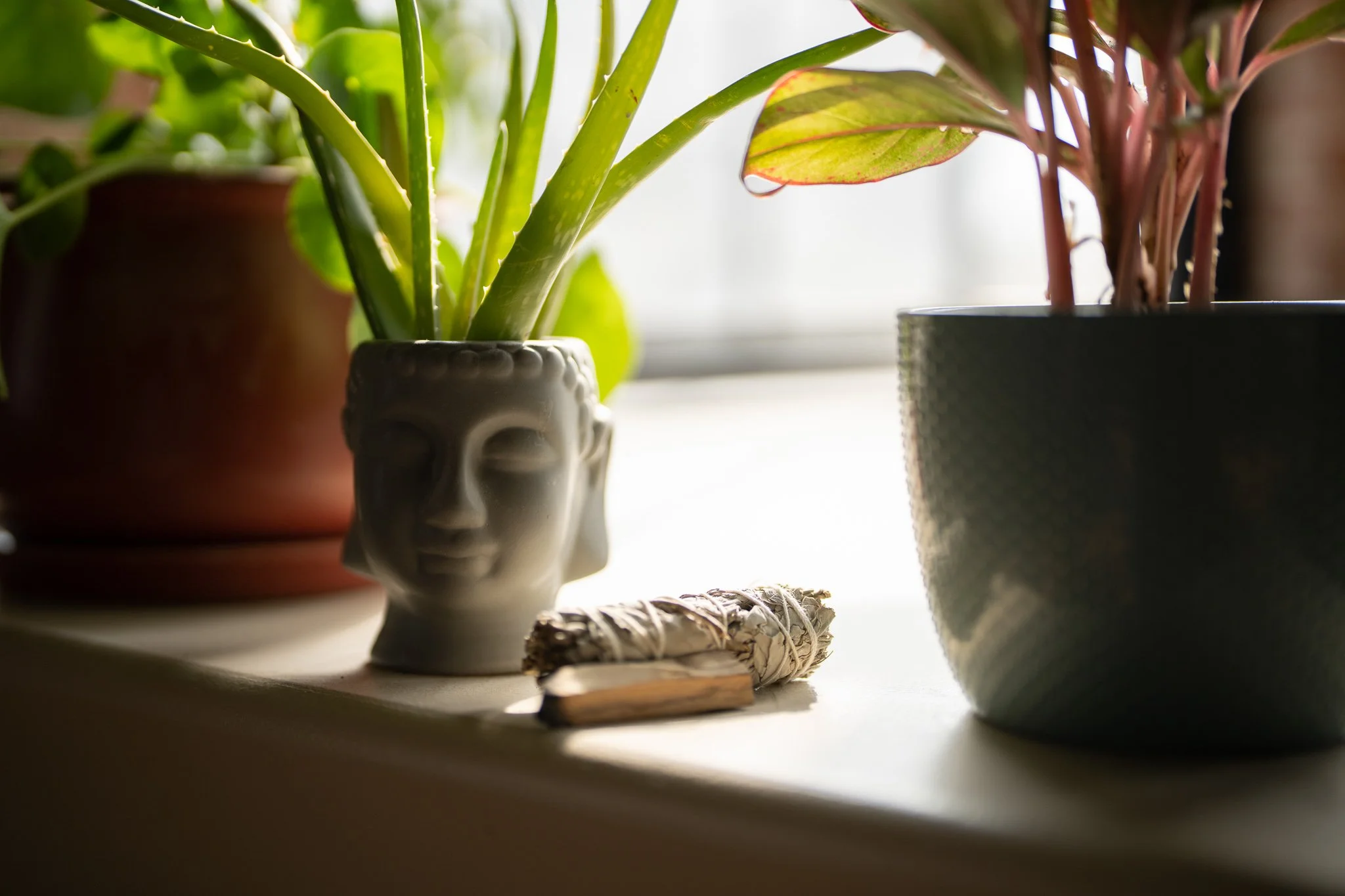 WEGOOD: WEEKLY YOGA &amp; MEDITATION CLASSES