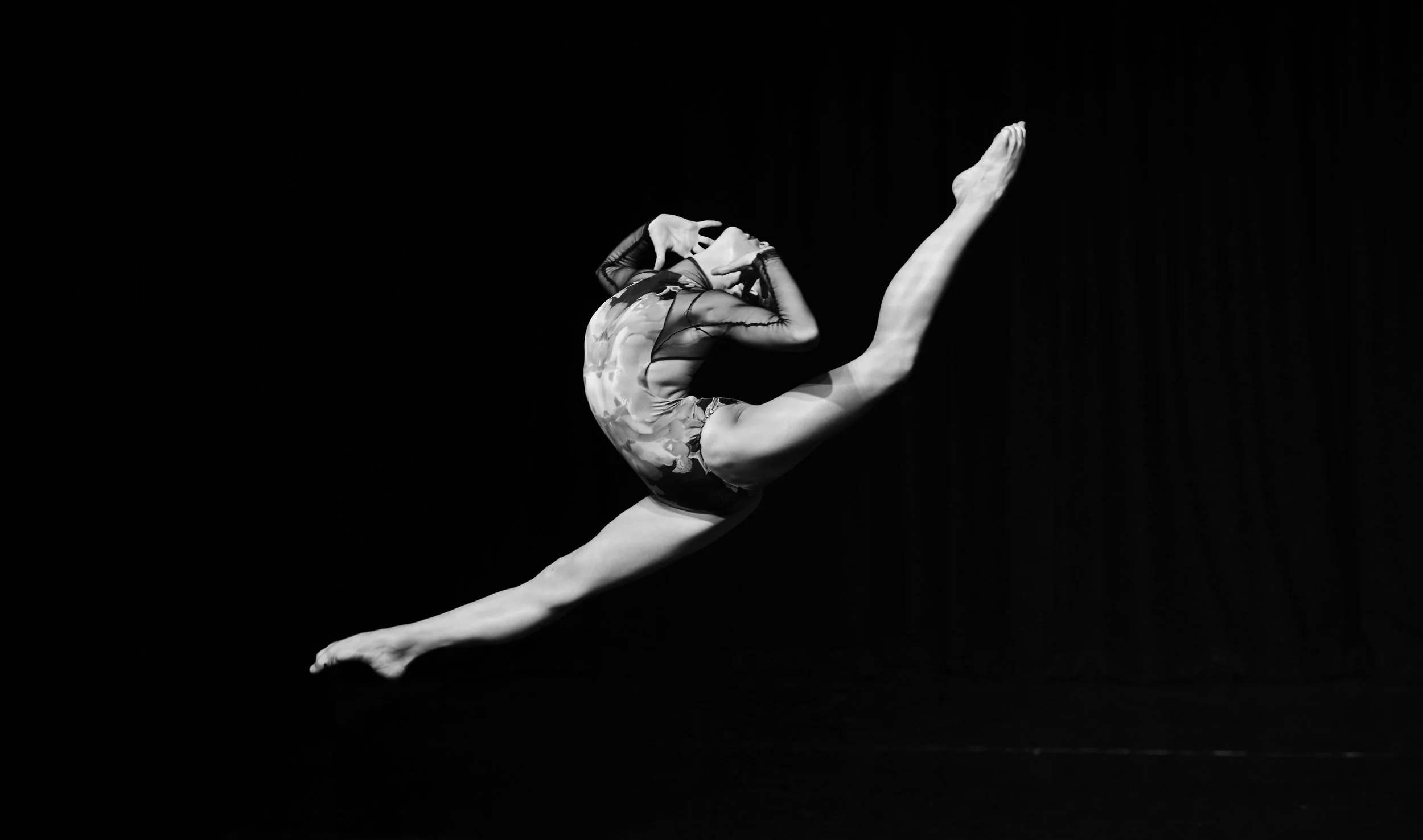 acgp-contemp+16806.jpg