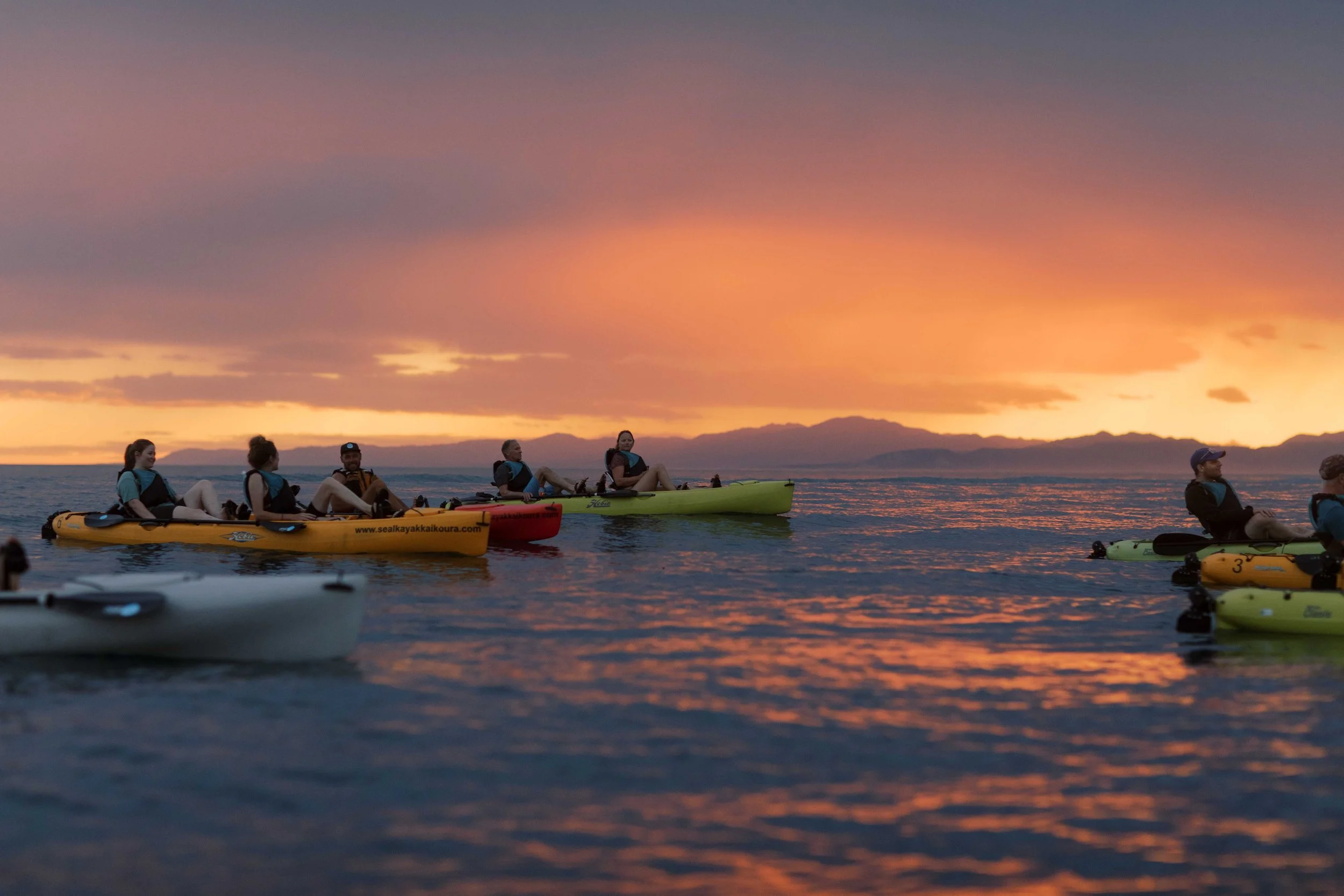 Commercial videographer & underwater photographer Christchurch