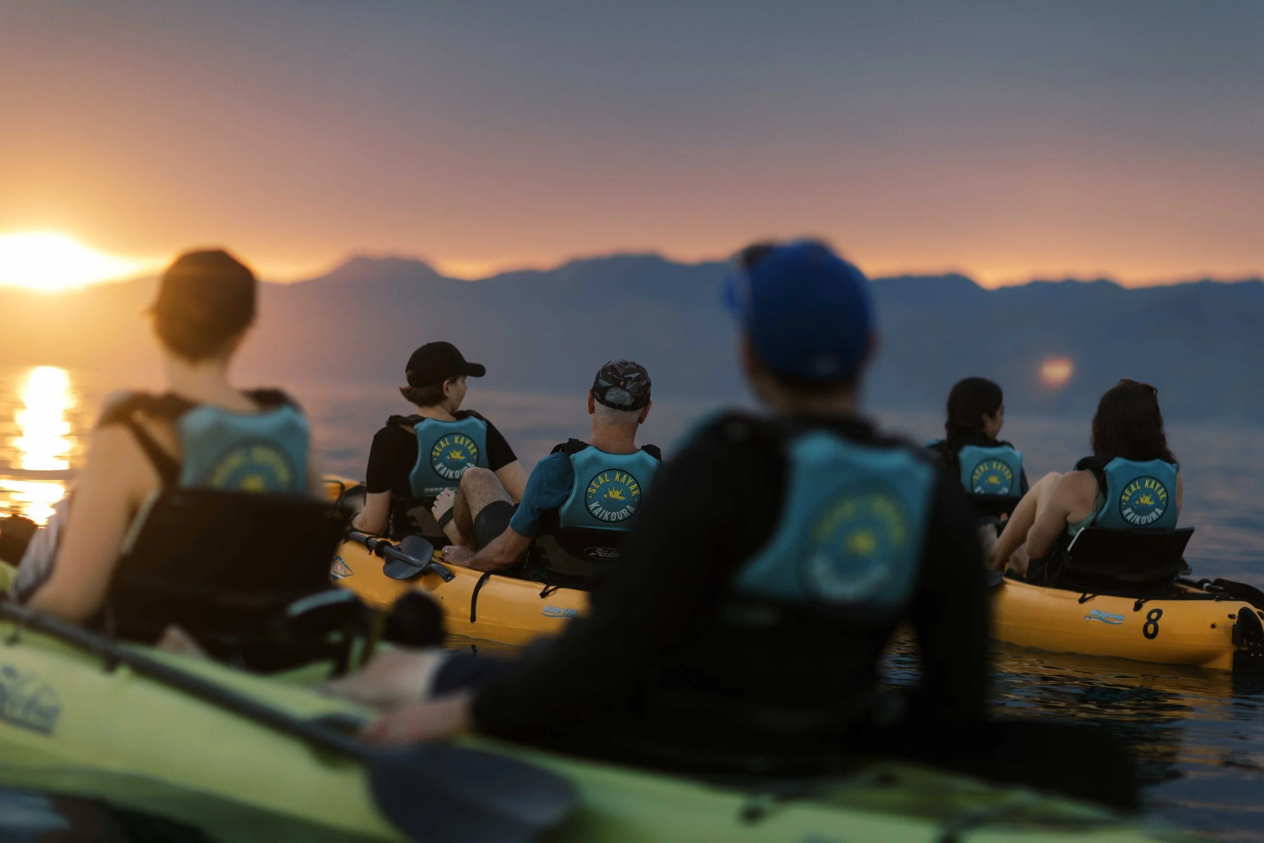 Commercial videographer & underwater photographer Christchurch