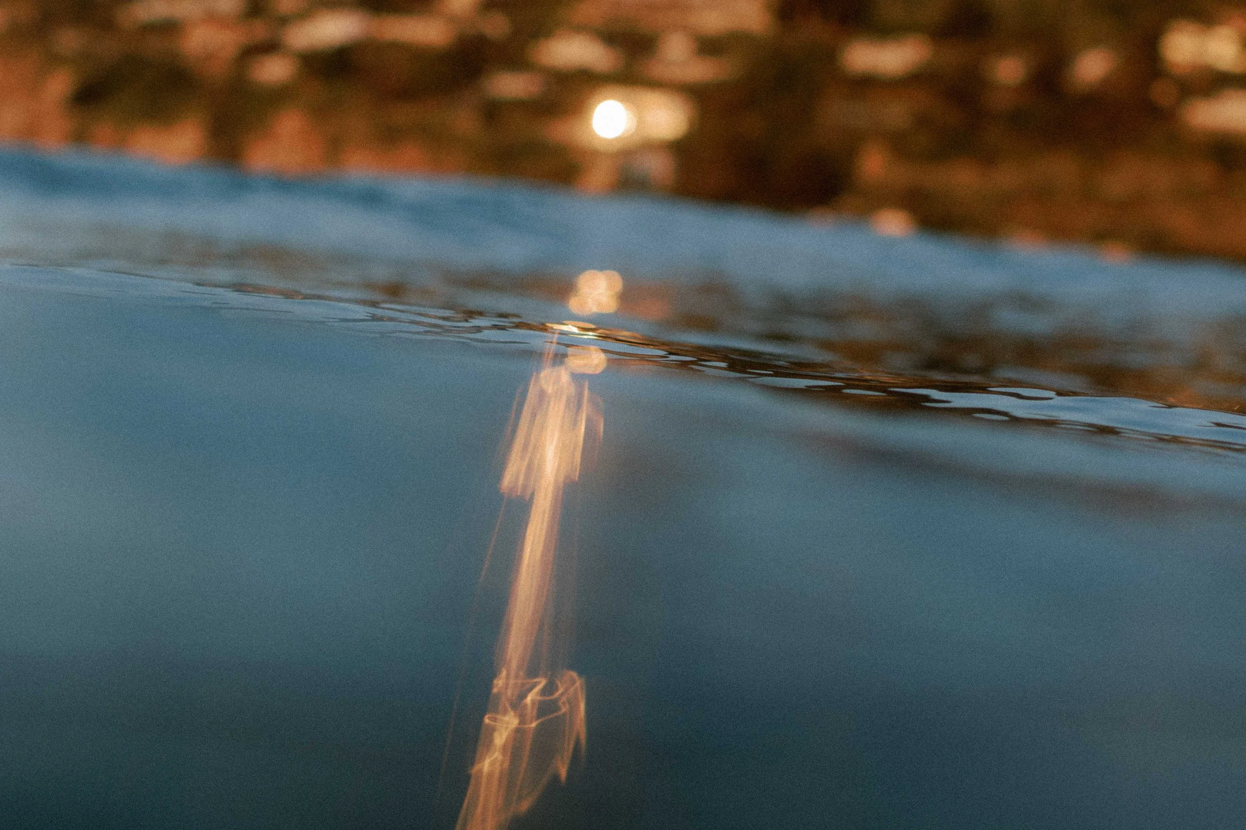 Commercial videographer & underwater photographer Christchurch