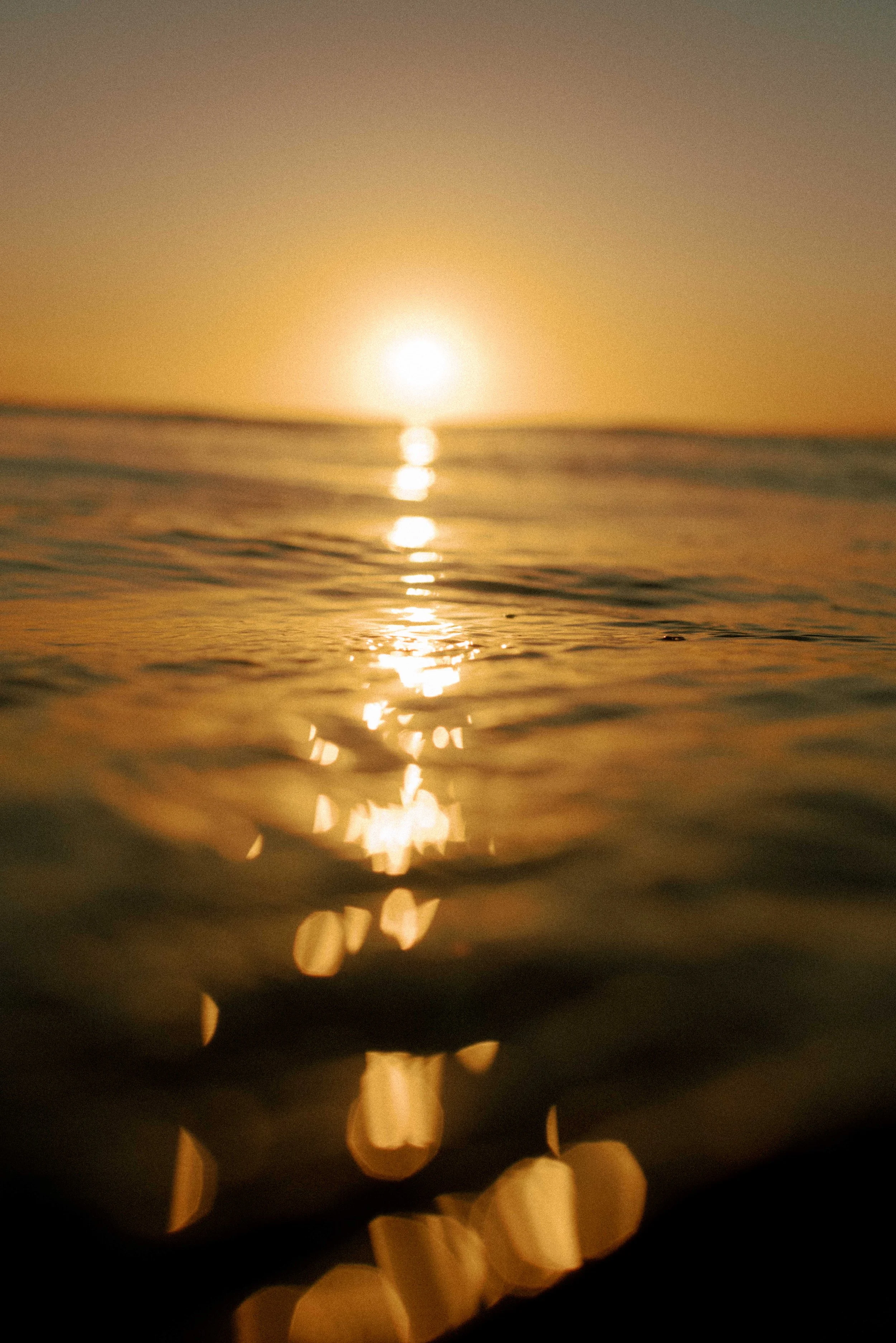 Commercial videographer & underwater photographer Christchurch