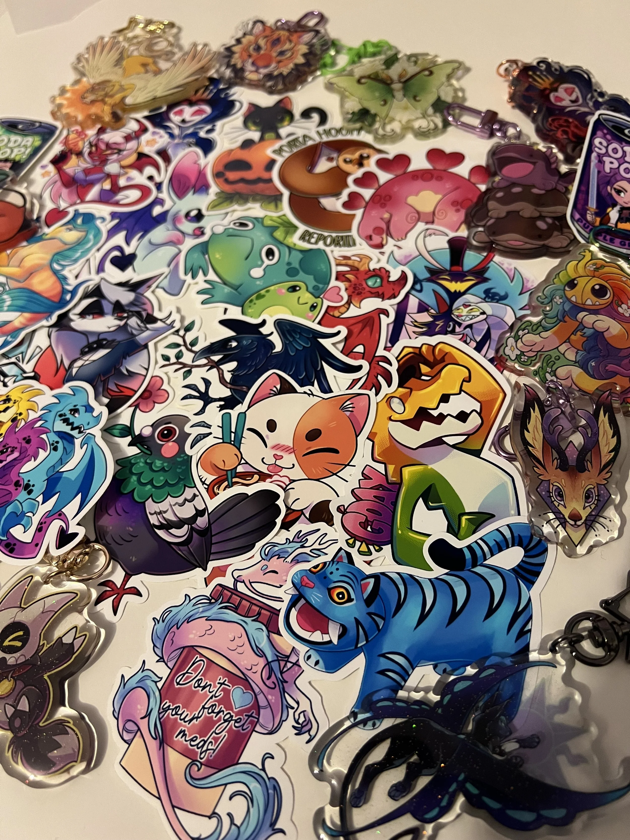 Photo 20-9-2025, 9 14 41 pm.jpg