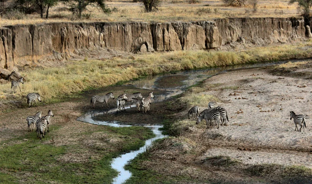 Safari im Tarangire dann Africa Safari Manyara Escarpment mit Blick über den Grabenbruch