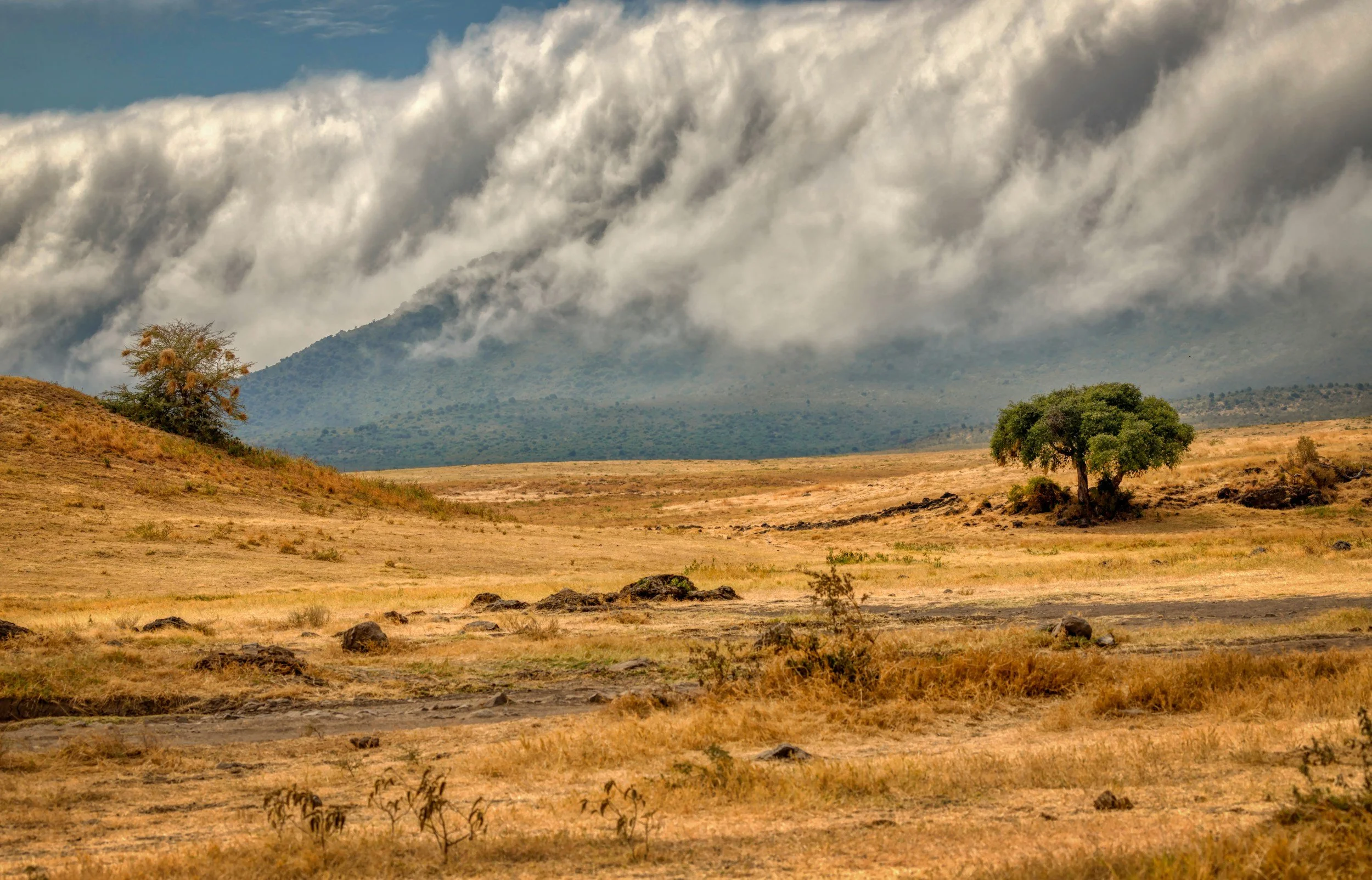 Safari im Ngorongoro Krater Tansania