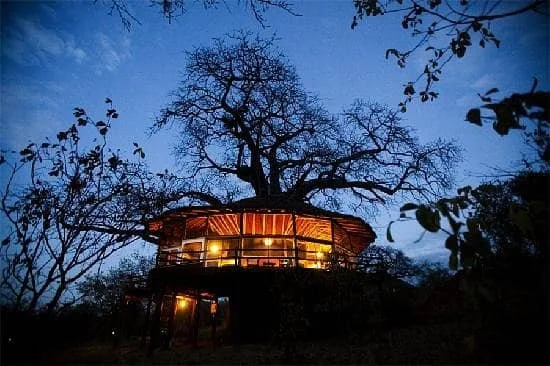 tree-house-at-tarangire.jpg