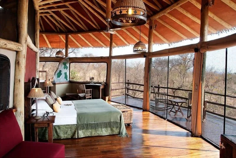 Elewana Treetop Lodge.jpeg