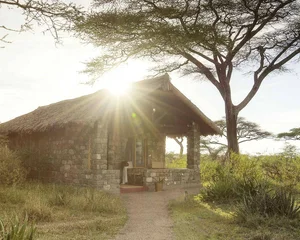 Ndutu Safari Lodge