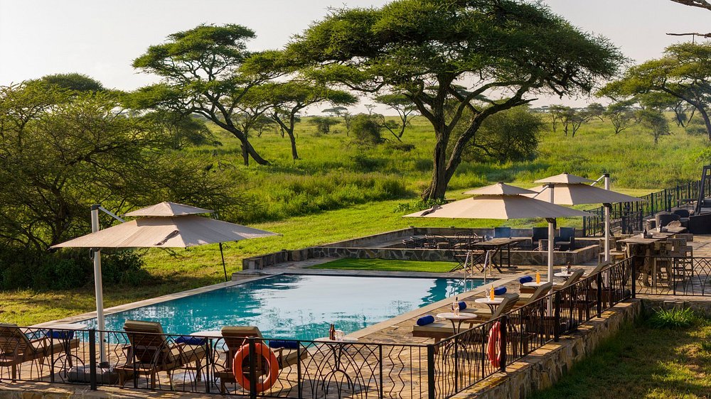 Serengeti Sametu Camp