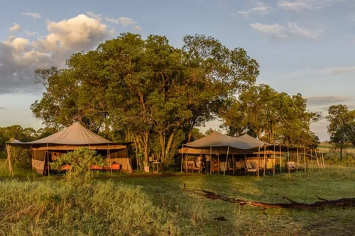 Serengeti North Wilderness Camp