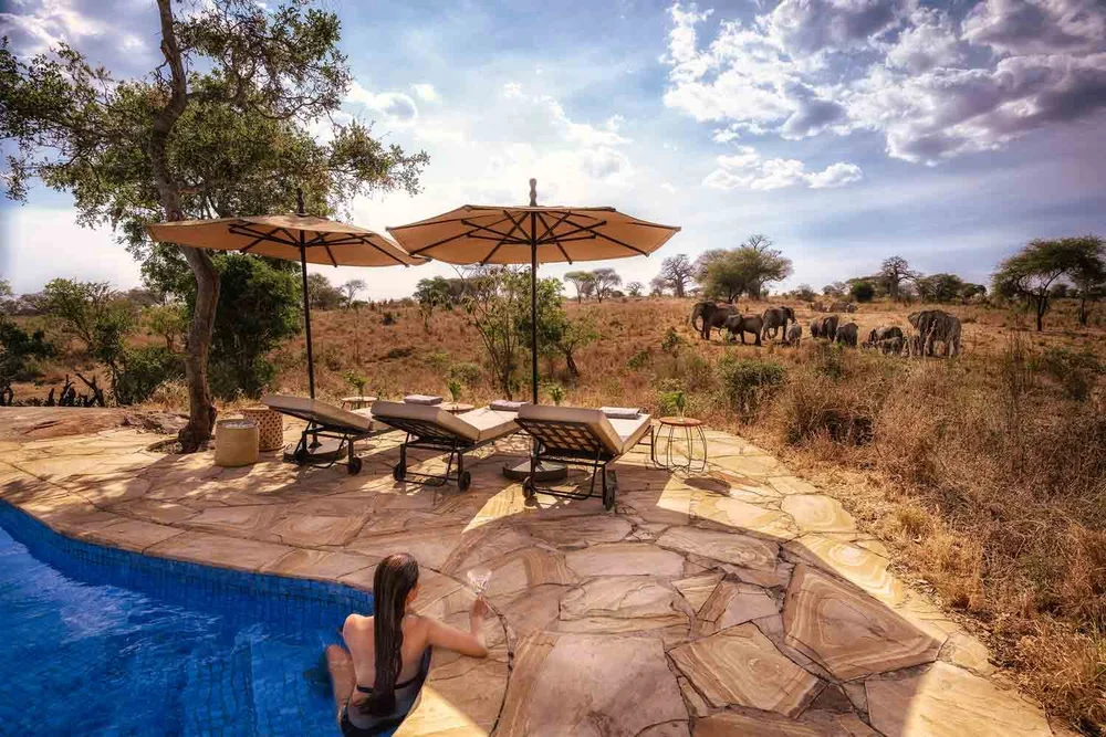 Nimali Tarangire Lodge mit eigenem Wasserloch