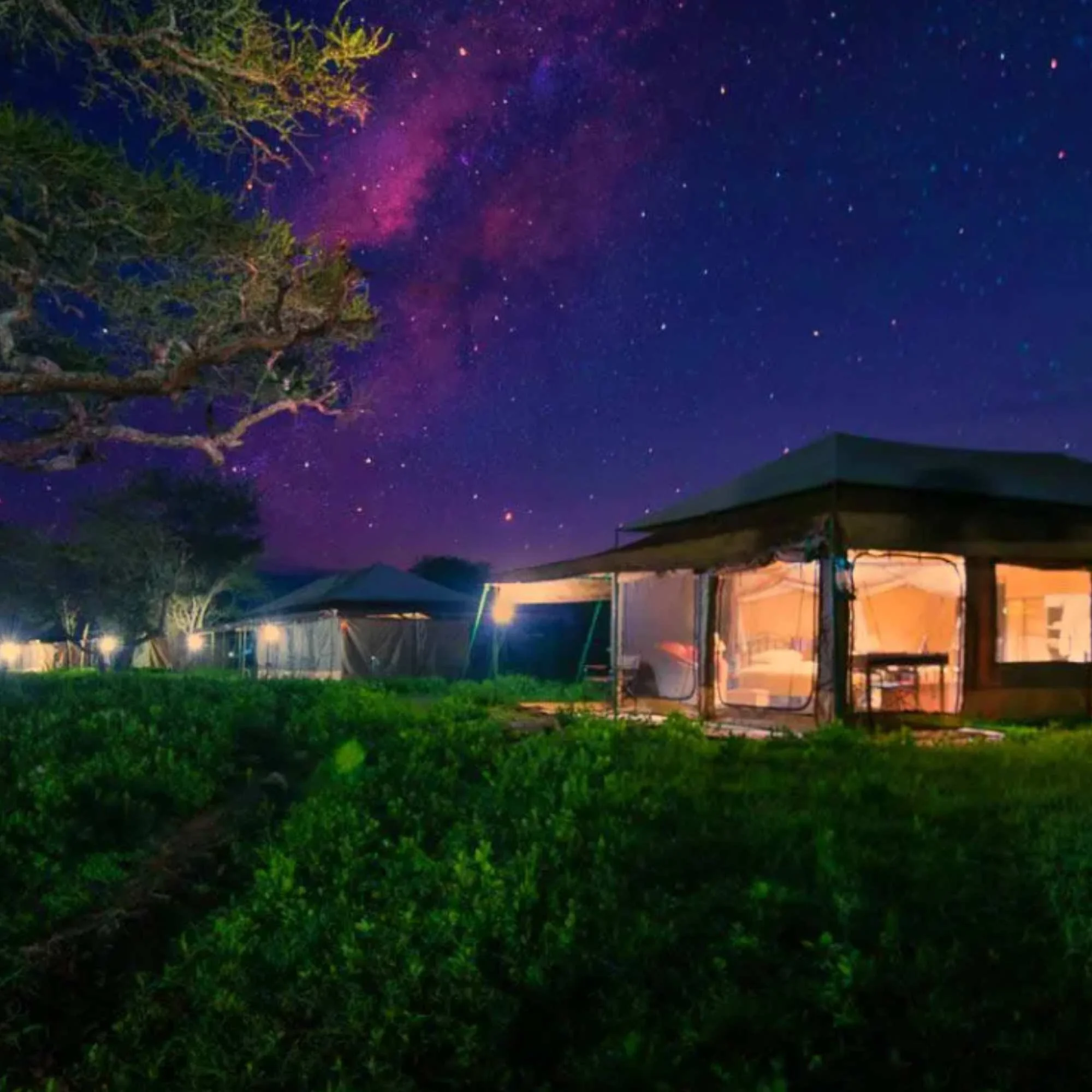 Ndutu Tanzania Bush Camp