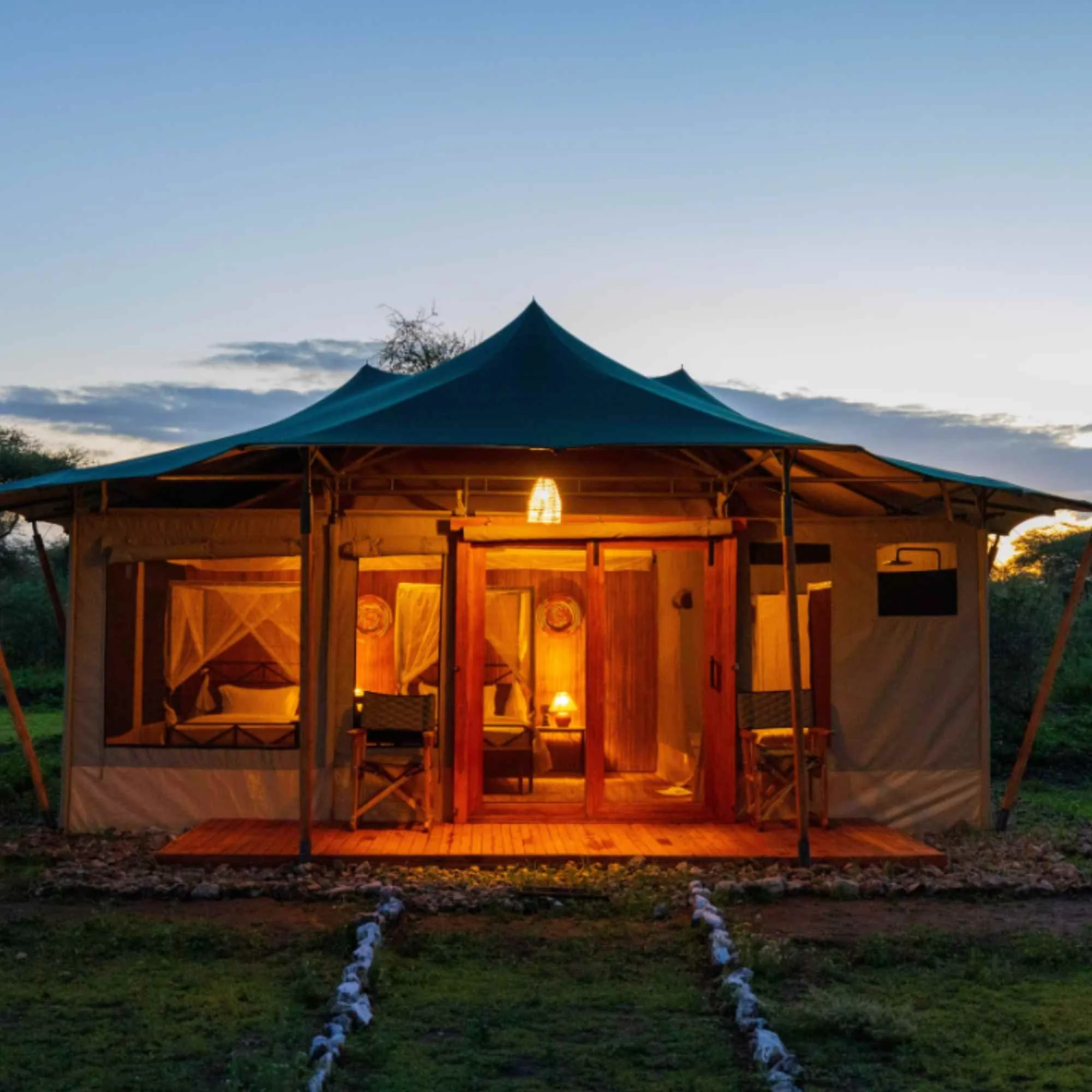 Safari Haven Migration Camp