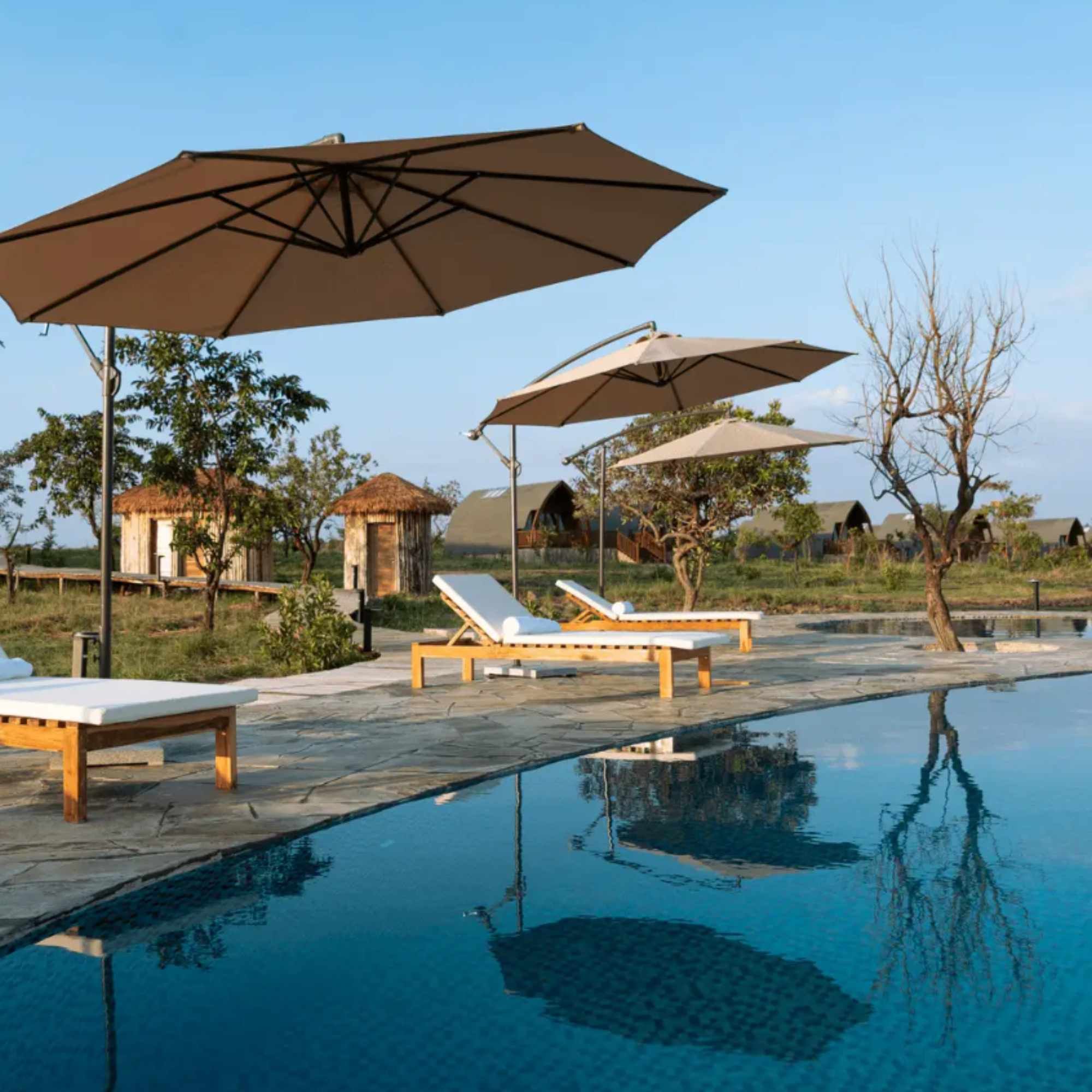 Serengeti Ark Safari Lodge