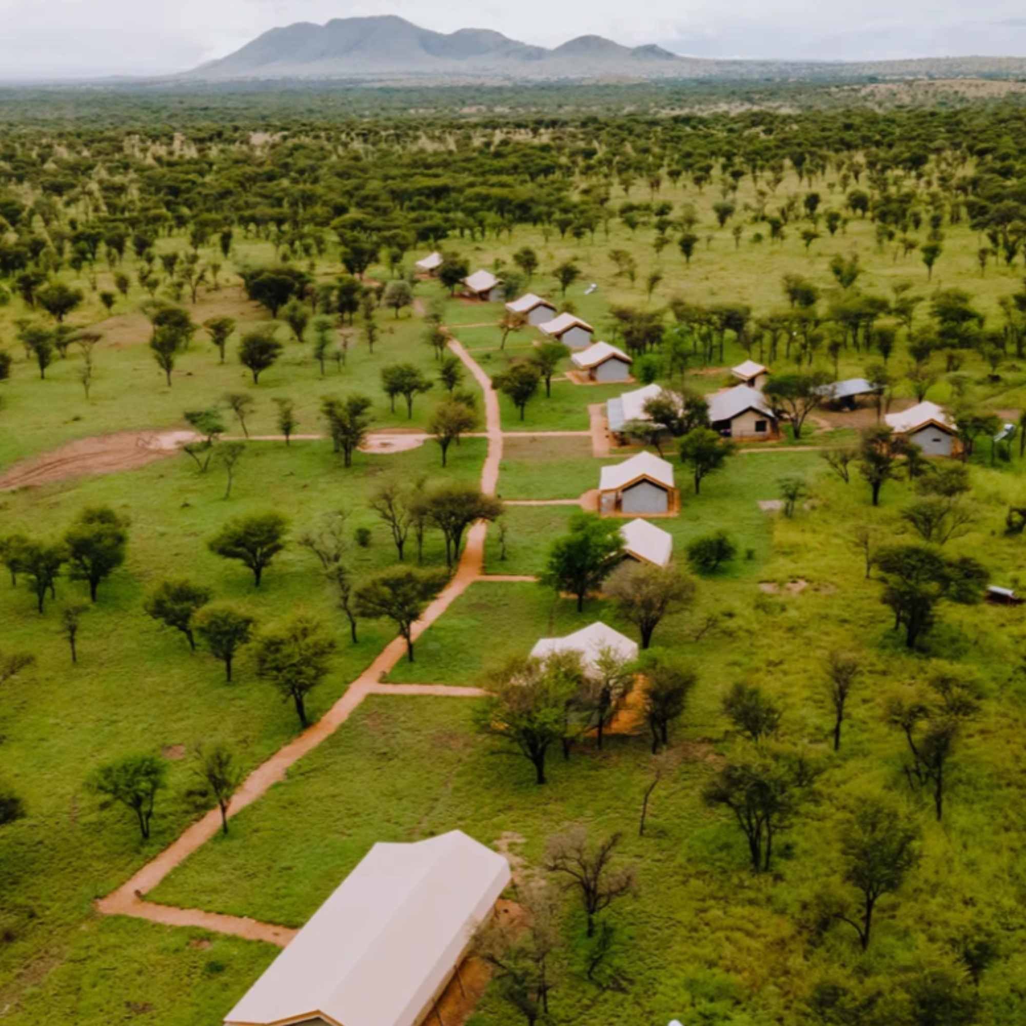 Kon Tiki Serengeti Camp