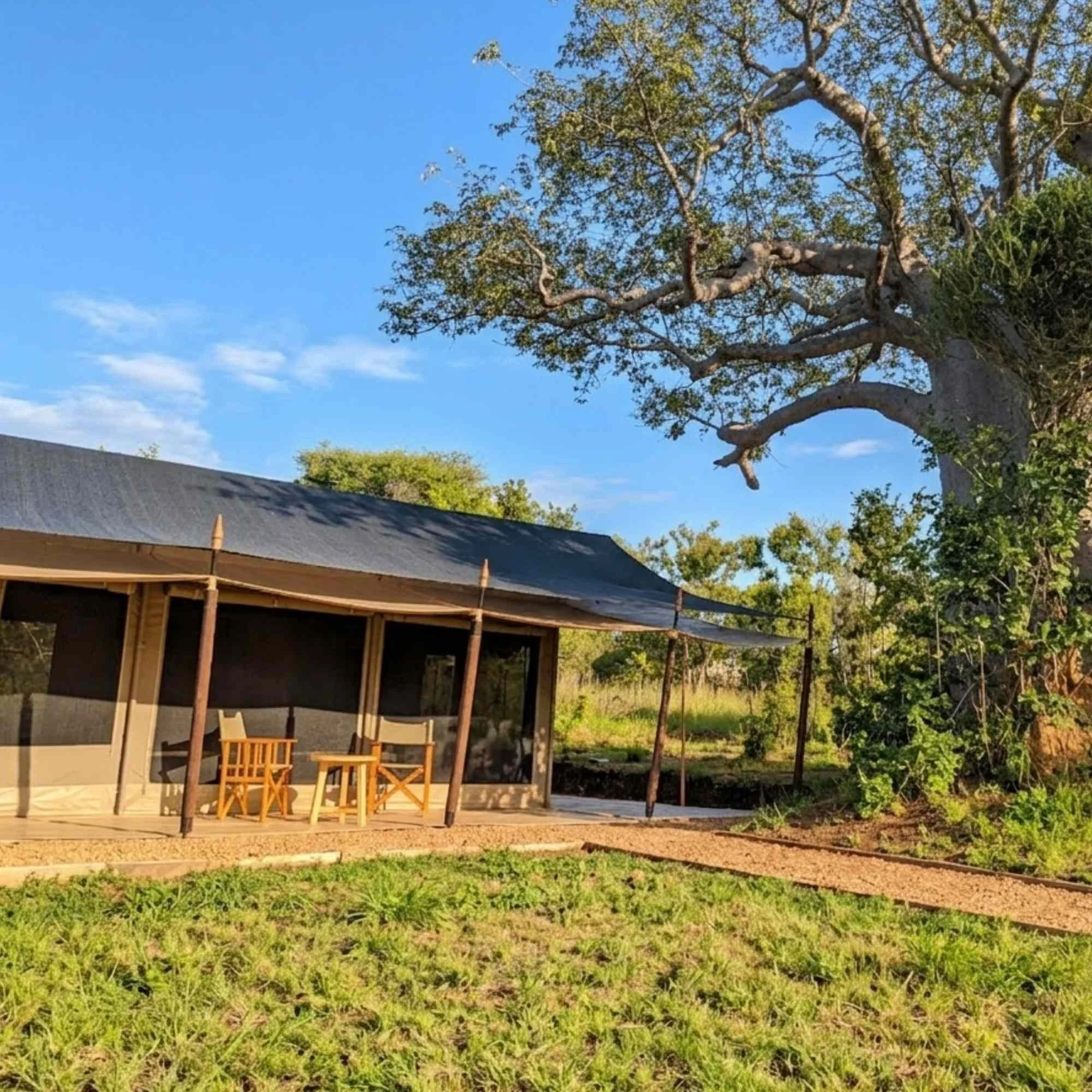 Kijani Camp Tarangire
