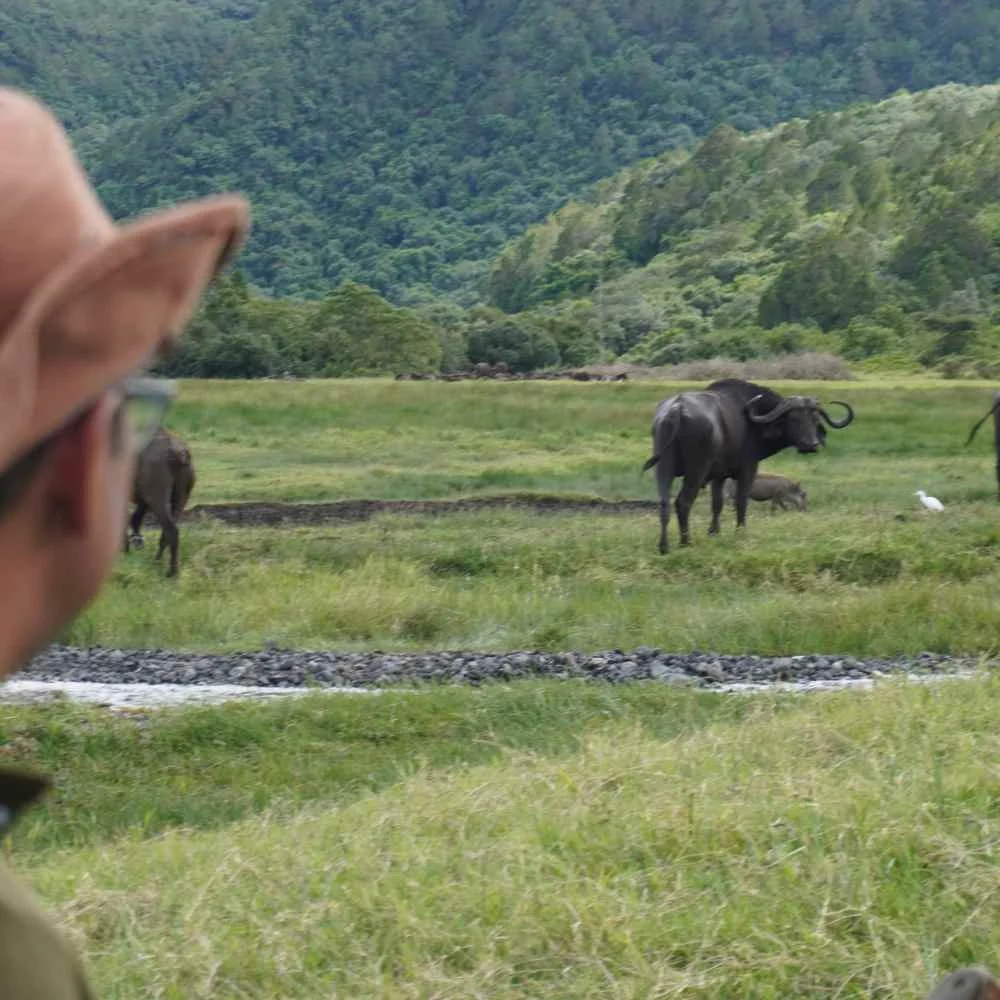 Walking Safari im Arusha-Nationalpark