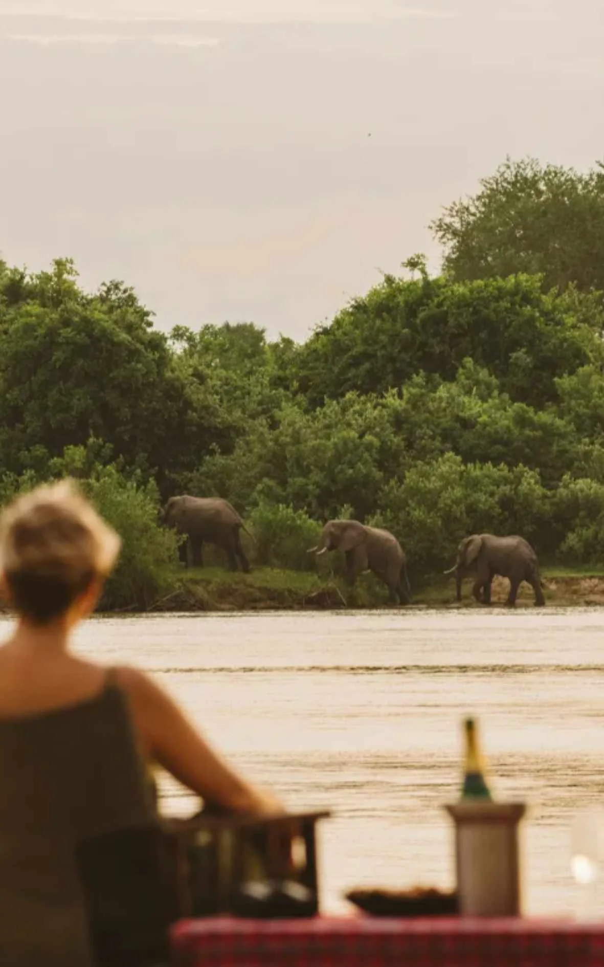 Wie läuft eine Safari in Tansania ab?