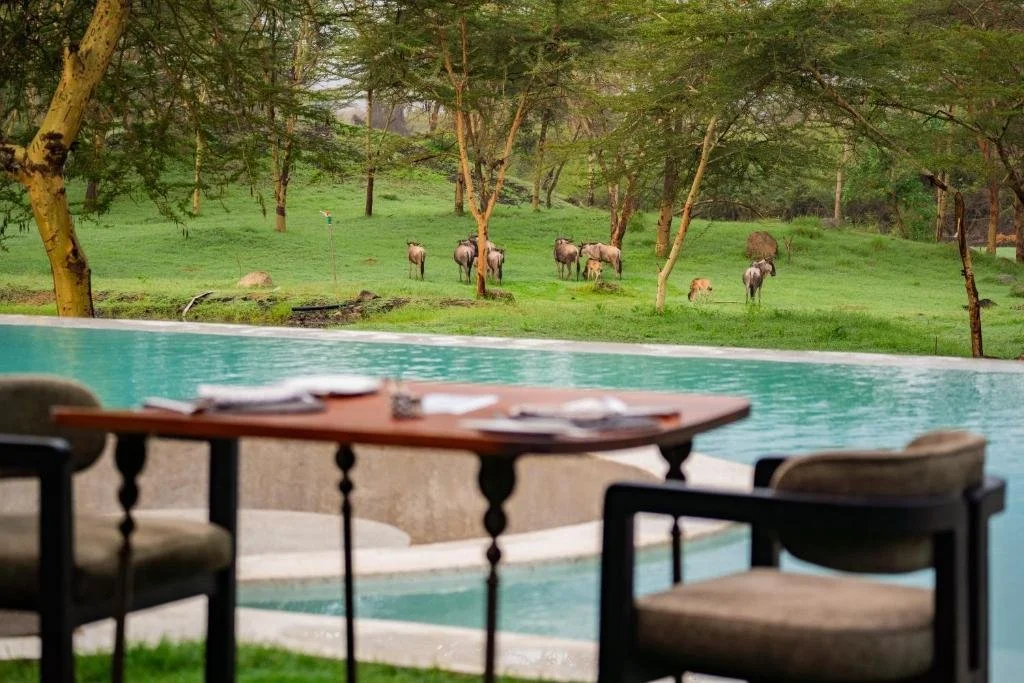 Giraffe Manor Tanzania
