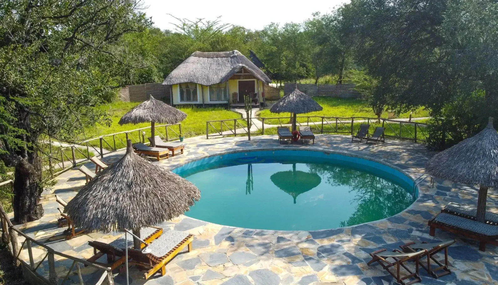 Africa Safari Selous