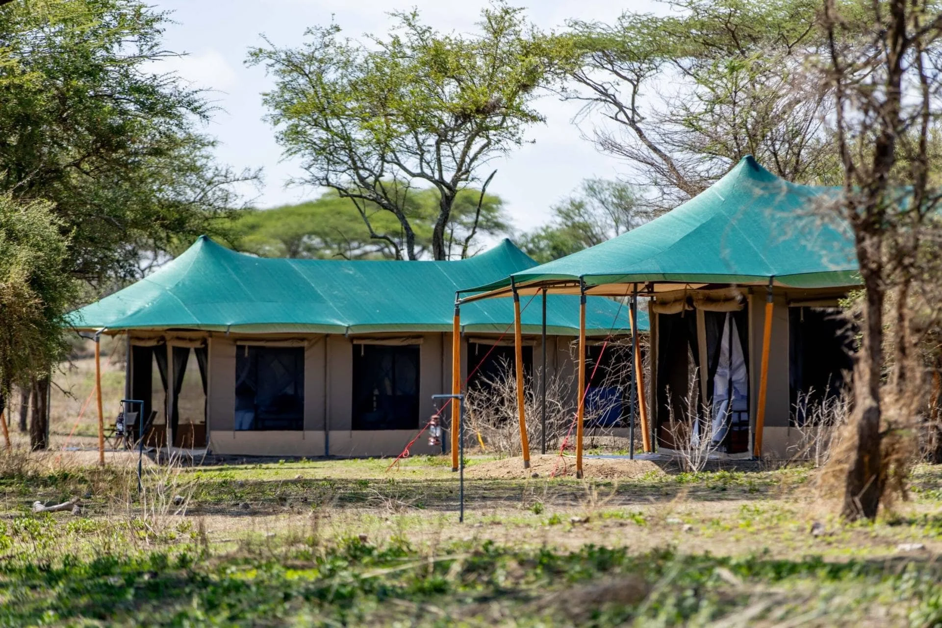 View Nutu Camp.jpg