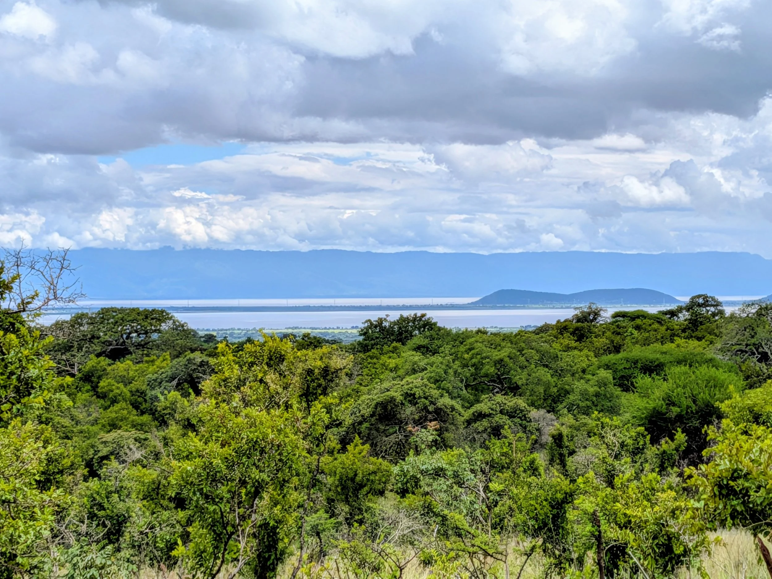 Blick auf einen bewölkten Himmel über einer Landschaft mit Wasser und grünen Bäumen im Vordergrund.
