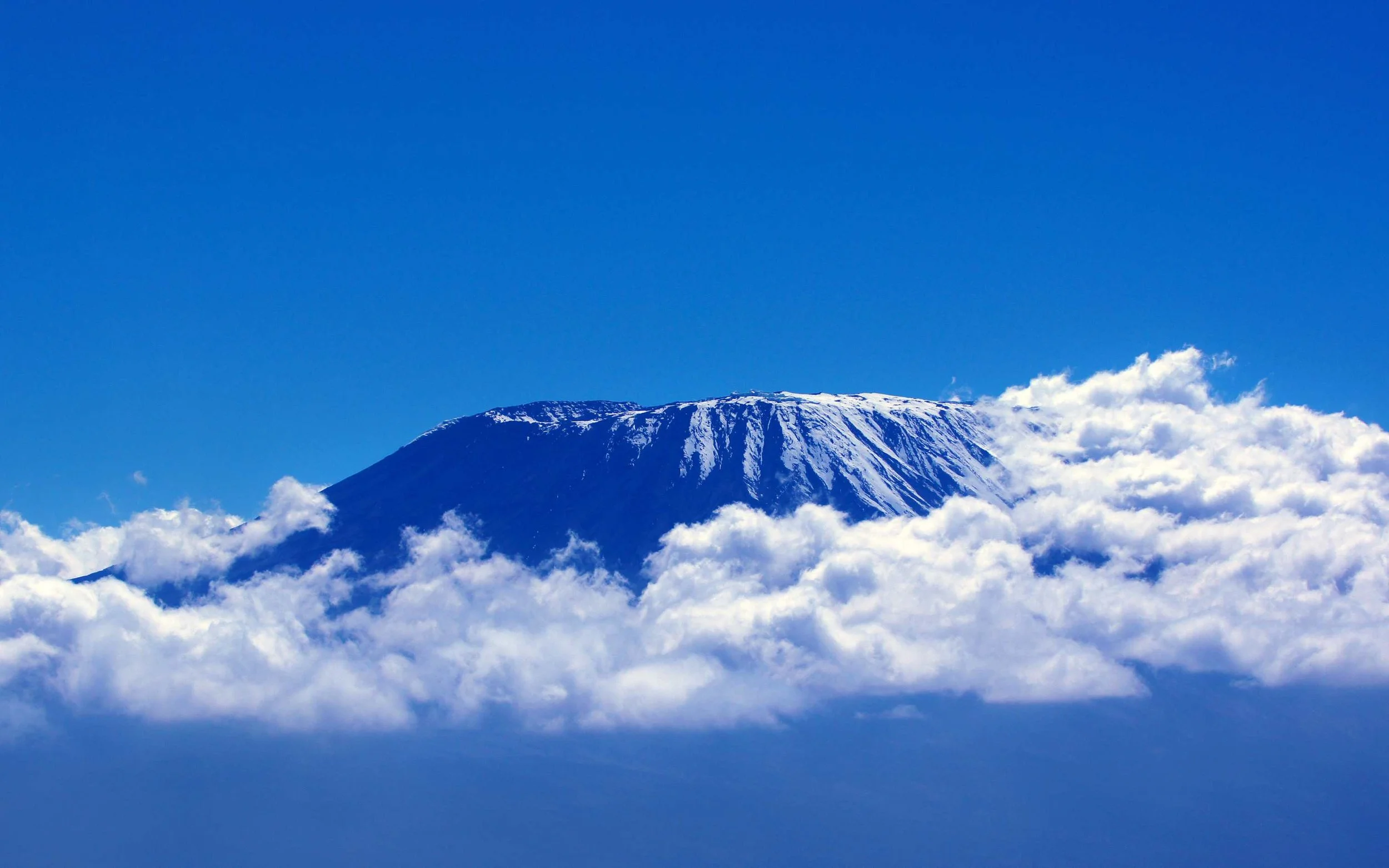 Tansania Safari und Kilimanjaro