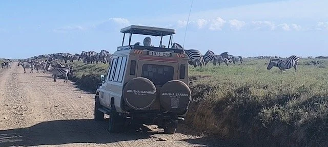 Safari ab Arusha.JPG