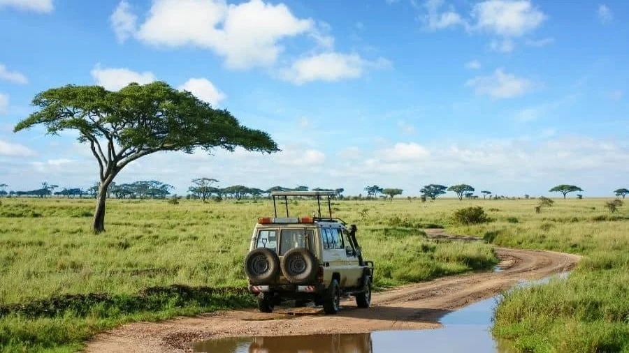 preiswerte Safari in Tansania