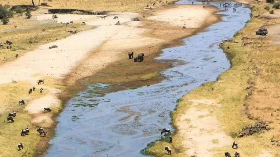 Morgendliche Pirschfahrt im privaten Safari-Jeep im Tarangire