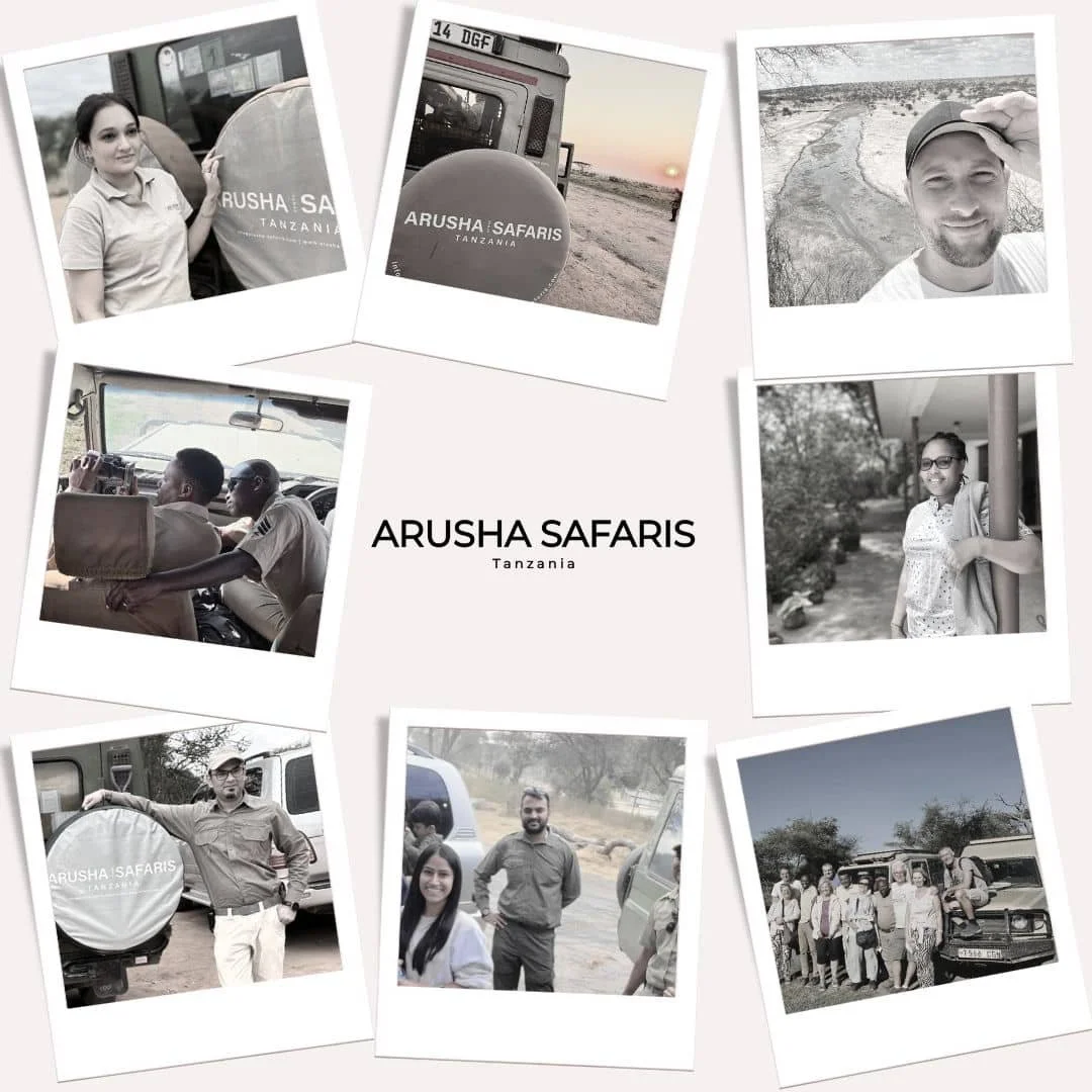 Safari in Tansania mit Arusha Safaris - bester Veranstalter