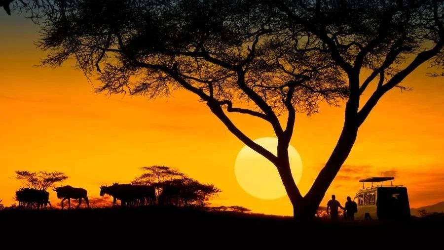 Serengeti Safari 7 Tage