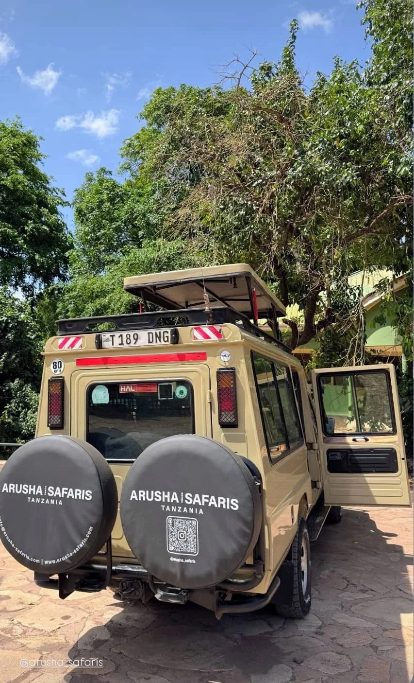 Tansania Safari perfekt organisiert