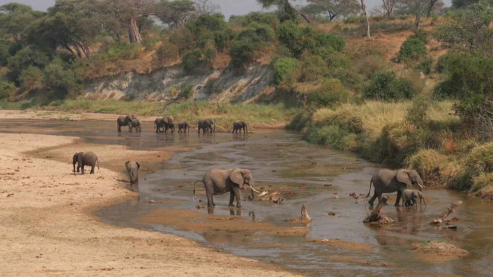 Landschaft im Tarangire Nationalpark