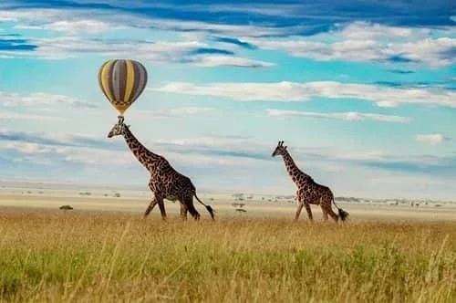 Giraffen und Heißluftballon über der Serengeti