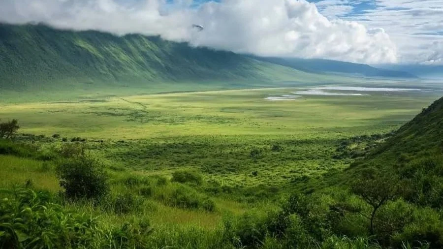 Safari-Jeep auf dem Kraterboden des Ngorongoro