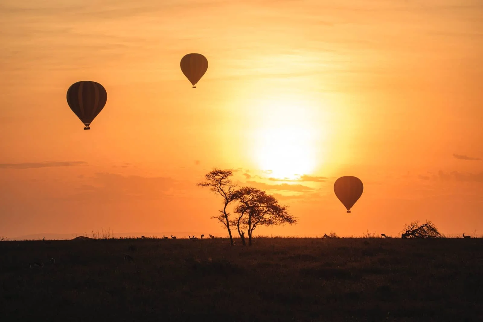 Hochzeitsreise in Tansania mit Ballonfahrt über der Serengeti