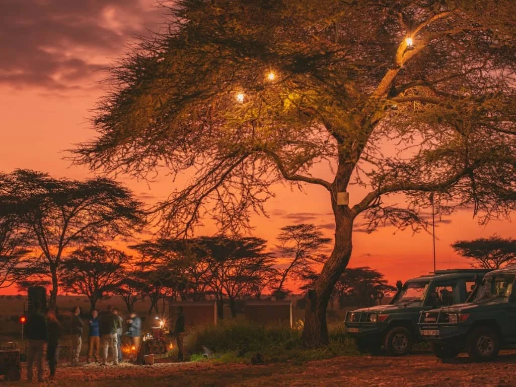 Safari und Ballonfahrt in Afrika Tansania