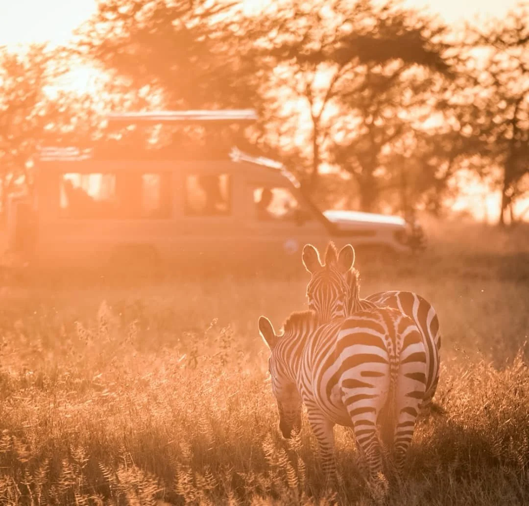 Wie lange Safari in Tansania?
