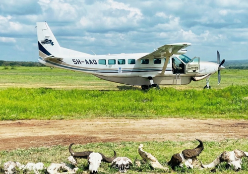 Kleinflugzeug auf einem Flugfeld in der Serengeti