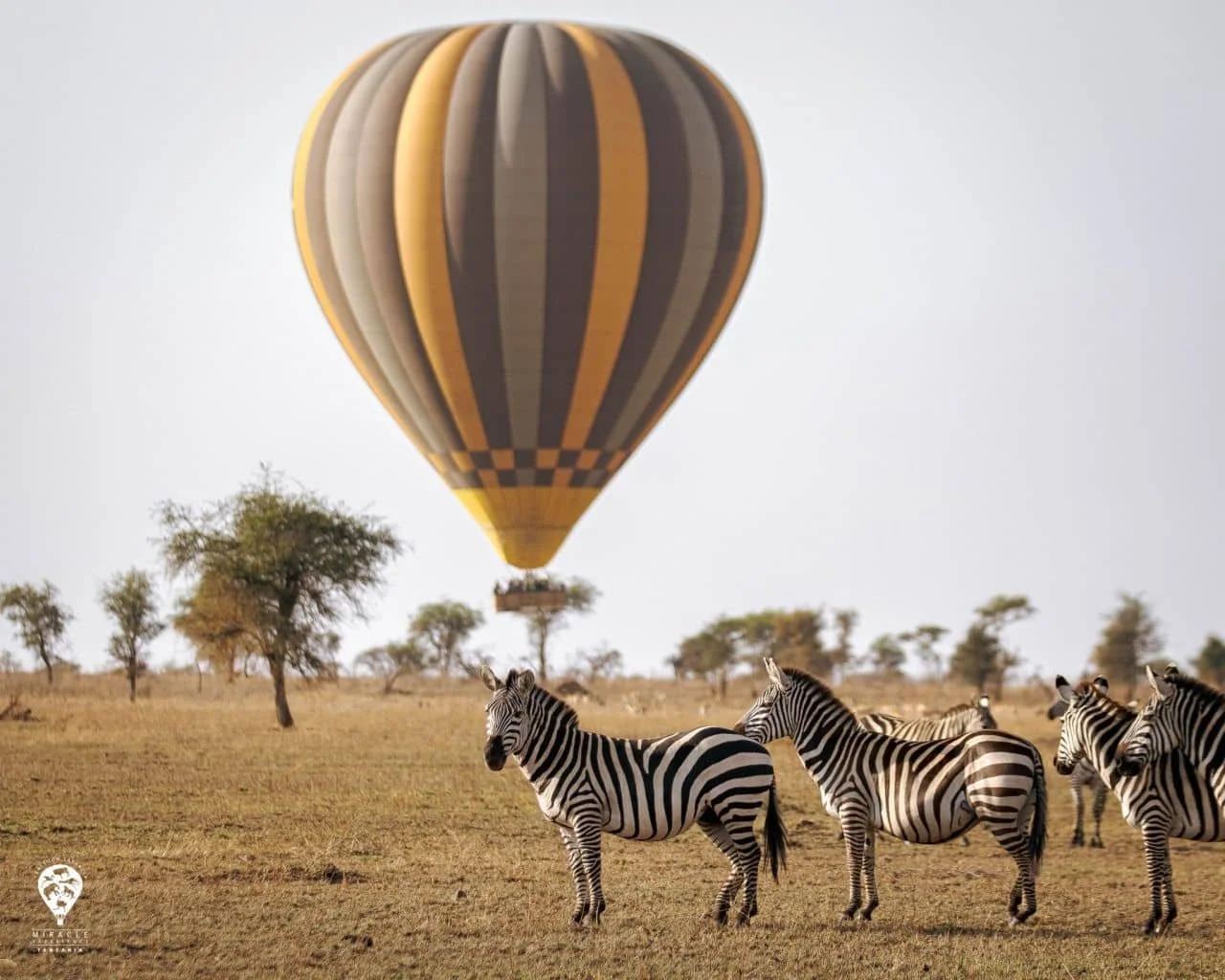 Abenteuer Reise Afrika