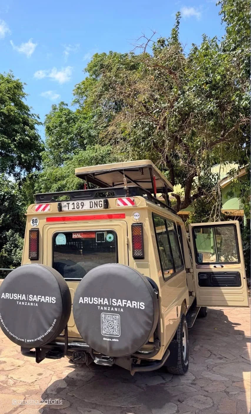 Auf Safari mit Jeep