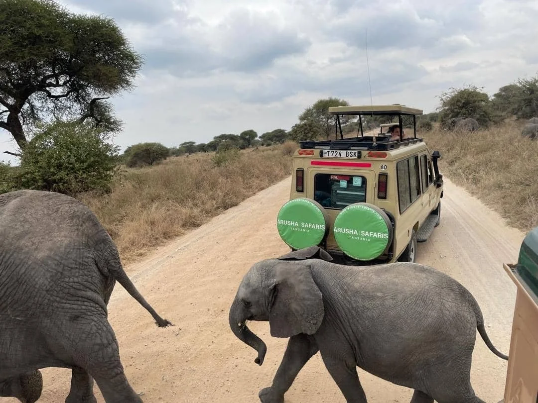 Safri ab Arusha Feedback Erfahrung.JPG